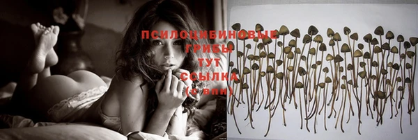 мяу мяу мука Арсеньев