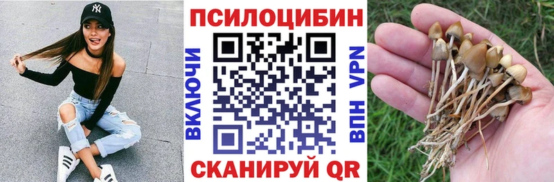 Псилоцибиновые грибы мицелий  Заволжск 